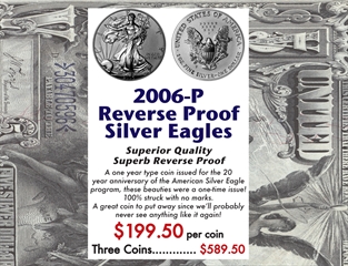 2006-P Reverse Proof Silver Eagle
